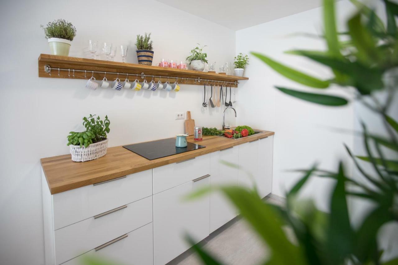 ليوبليانا Family Apartment With Garden المظهر الخارجي الصورة